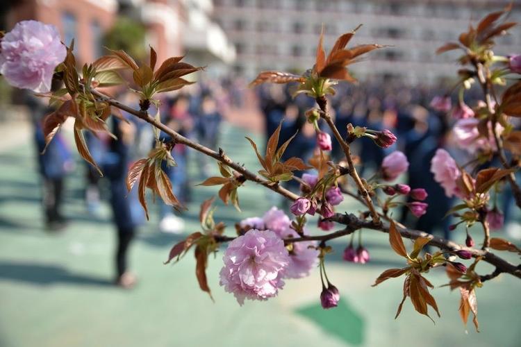 春日校服保養(yǎng)全攻略,讓你的校服煥然一新! 春日校服保養(yǎng)全攻略,讓你的校服煥然一新!