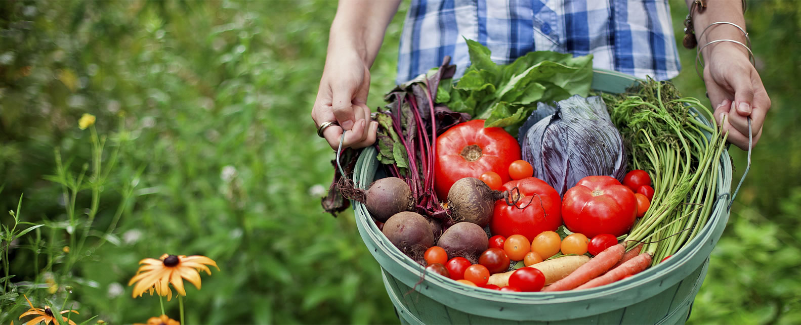 全面高級2日 套餐