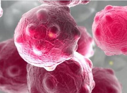 腫瘤標(biāo)志物到底有什么用