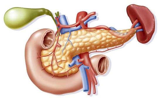 日本專家談磁共振（MRI）引導下的放射治療